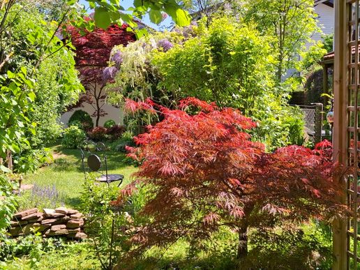 Garten 25, im Mai..
