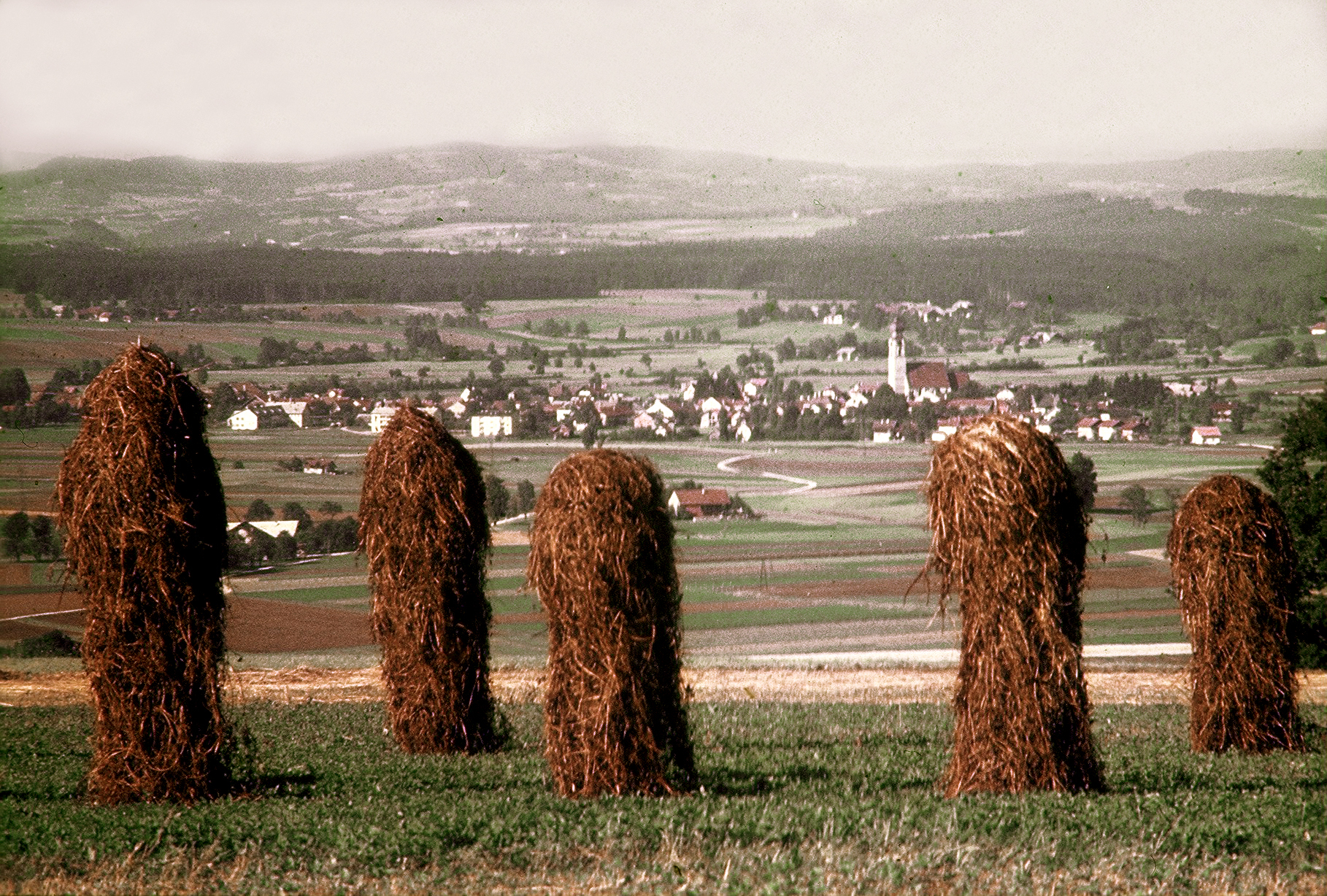 Bilder von Robert Maritsch, oben am Kronberg