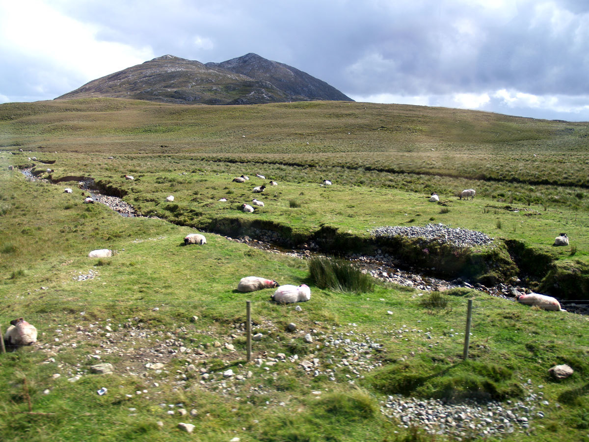 NEU!!  Es gibt auch Sonne in Connemara, dann aber auch die fiesen kleinen Stechmücken, die überall rein kriechen und stechen...