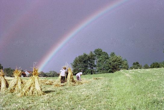 Regenbogen bei der Arbeit am Feld, Berg
