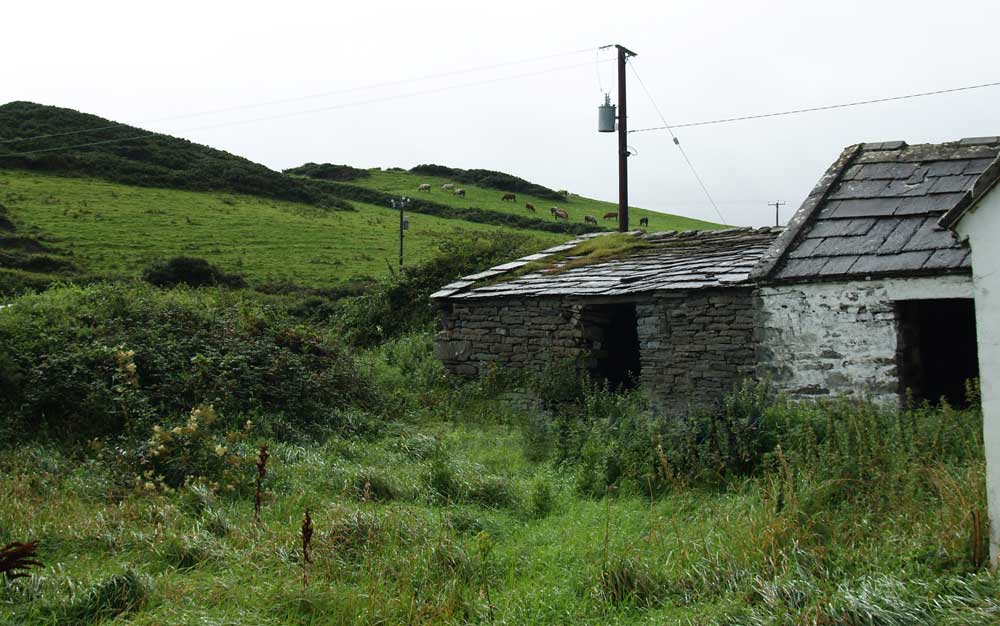 Doolin