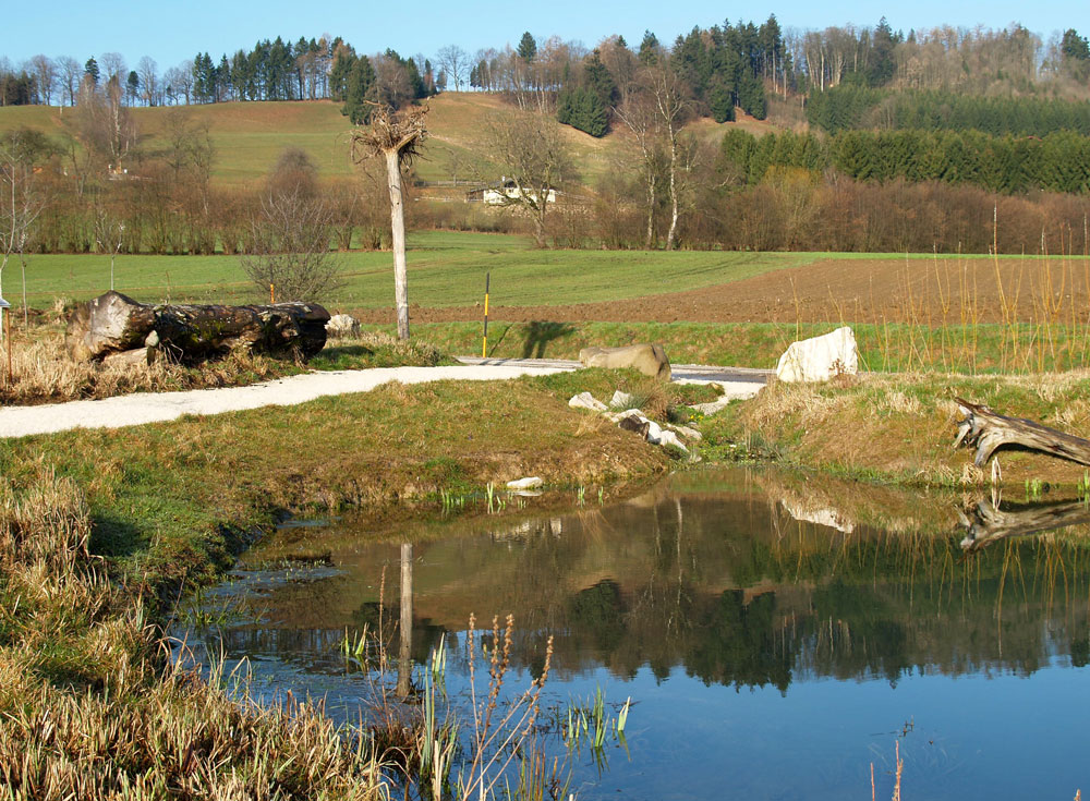So hat der Bereich um 2006 einmal ausgesehen, es war ein Projekt der Naturschutzjugend  heute findet man nicht mehr so viel davon vor...