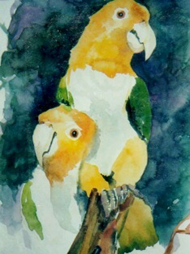 Papageien