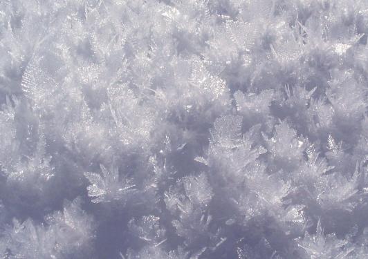 Schneekristalle