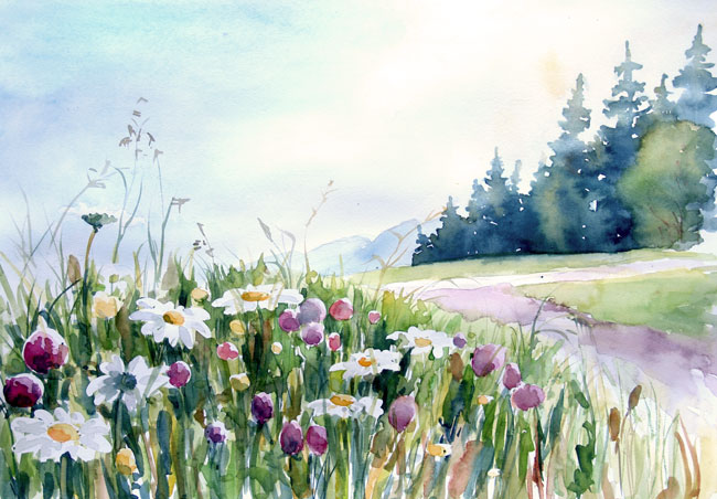 Blumenwiese um Unterach